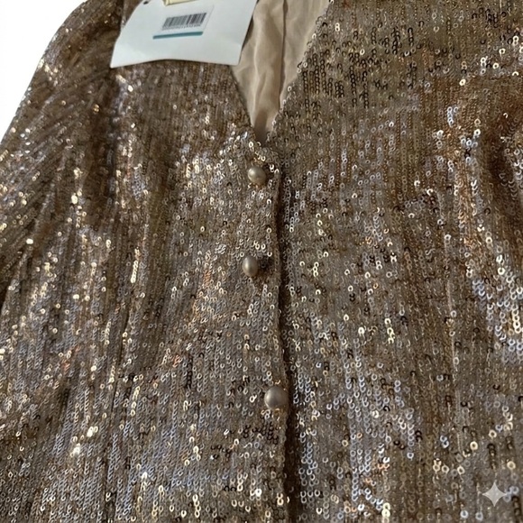Maje Champagne Sequin V-Neck Button-Front Top - Picture 5 of 7